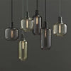 Coreopsis - Amp Glass Lamp
