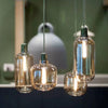 Coreopsis - Amp Glass Lamp