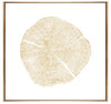 FL-H243ABCD(2)