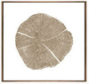 FL-H245ABCD(3)