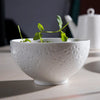 white bowl ceramic
