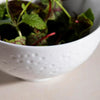 white bowl ceramic