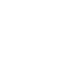 Free Delivery Icon