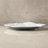 Rock plate (2)