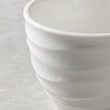 cup (5)