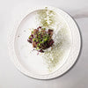 white side plates