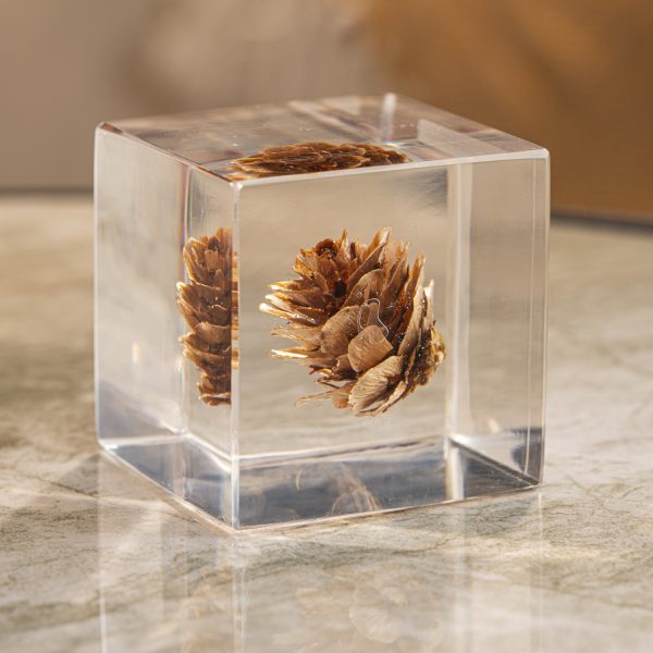 Botanic Square Resin Cube