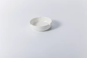 White Ashtray